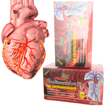 Charger l'image dans la galerie, 2 Boîtes de Thé Cardiovasculaires : Préservez Votre Cœur, Hommes et Femmes
